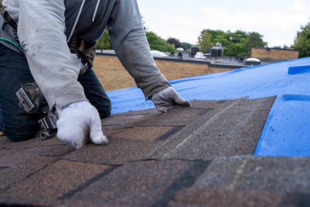 Best Rubber Roofing (EPDM, TPO)  in Zilwaukee, MI